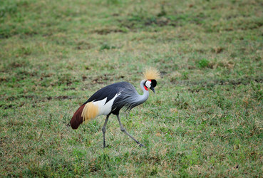 Similar image 779448