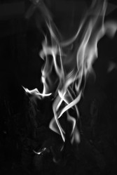 Similar image 779483