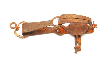 Similar image 779496