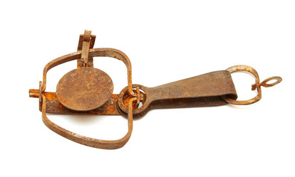 Similar image 779497