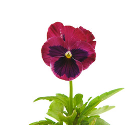 Similar image 779505