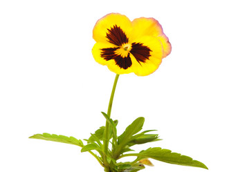 Similar image 779509