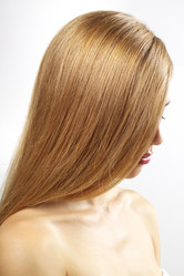 Similar image 779545