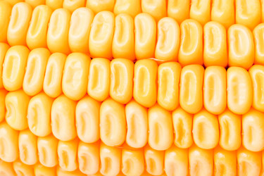 Similar image 779626