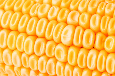 Similar image 779628