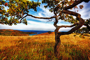 Similar image 779636