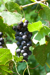 Similar image 779669