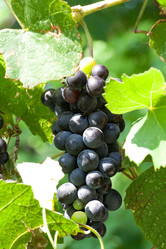 Similar image 779670