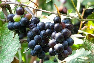 Similar image 779671