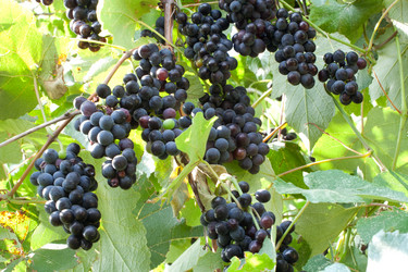 Similar image 779672