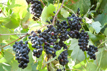 Similar image 779673