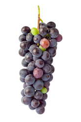 Similar image 779675