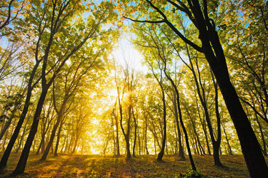 Similar image 779677