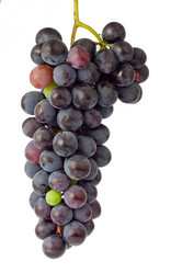 Similar image 779678