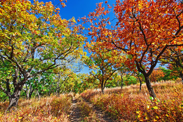 Similar image 779680