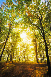 Similar image 779681