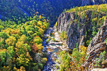 Similar image 779684