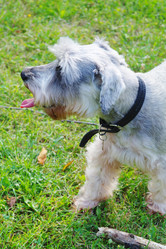 Similar image 779688