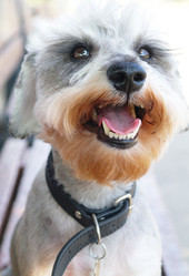 Similar image 779690