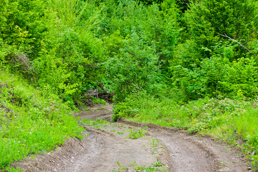 Similar image 779711