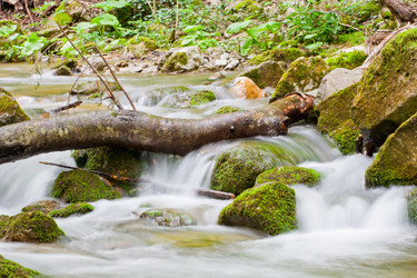 Similar image 779718