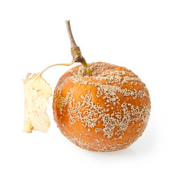 Similar image 779725