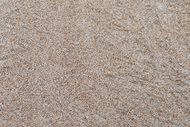 Similar image 779731