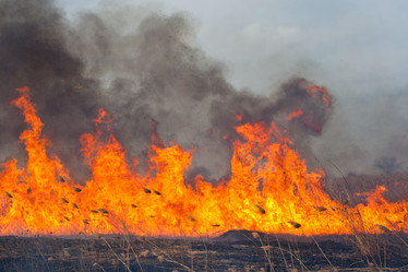 Similar image 779735