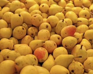 Similar image 779885