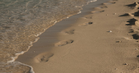 Similar image 779920