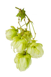 Similar image 779928