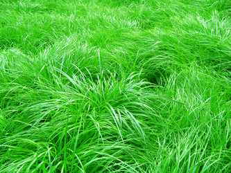 Similar image 780029