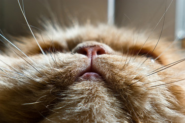 Similar image 780054