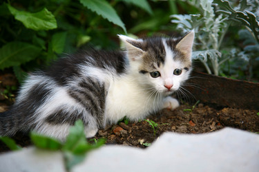 Similar image 780064