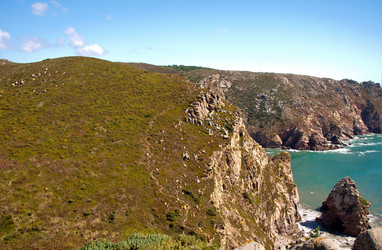 Similar image 780197