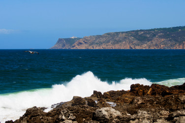 Similar image 780201