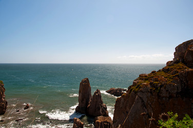 Similar image 780206