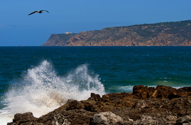 Similar image 780211