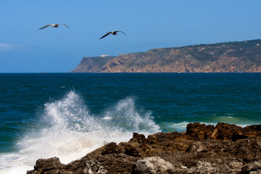 Similar image 780215