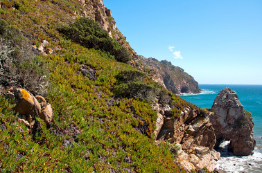 Similar image 780217