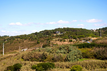 Similar image 780225