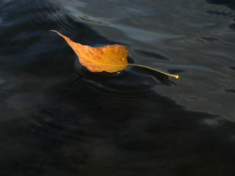 Similar image 780269