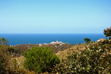 Similar image 780279