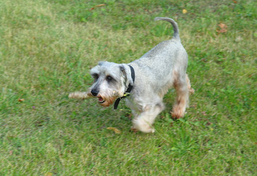 Similar image 780303