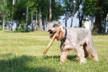 Similar image 780305