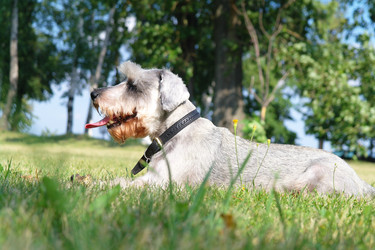 Similar image 780306