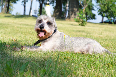 Similar image 780308