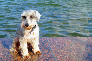 Similar image 780309