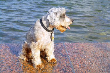 Similar image 780310