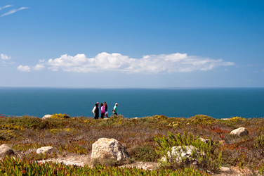 Similar image 780313